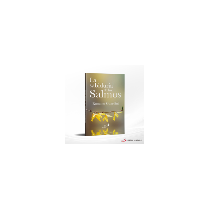 LA SABIDURIA DE LOS SALMOS – SAN PABLO